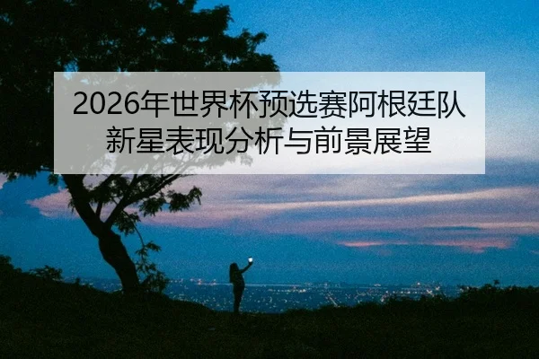 nian-shi-jie-bei-yu-xuan-sai-a-gen-ting-dui-xin-xing-biao-xian-fen-xi-yu-qian-jing-zhan-wang-2-671.jpg