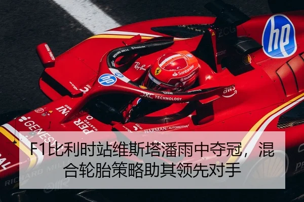 F1比利时站维斯塔潘雨中夺冠，混合轮胎策略助其领先对手